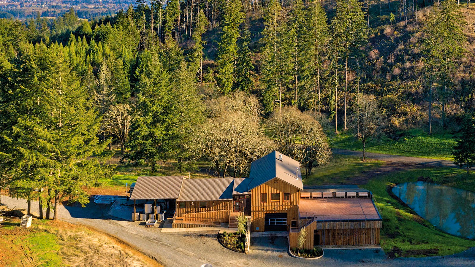 Oregon’s Long-Lived Pinot Noirs