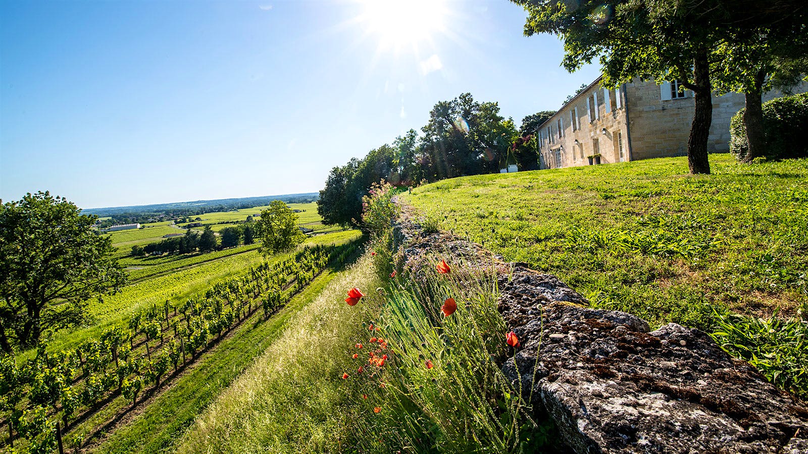 Haut-Brion Owners Expand Plans On Bordeaux’s Right Bank