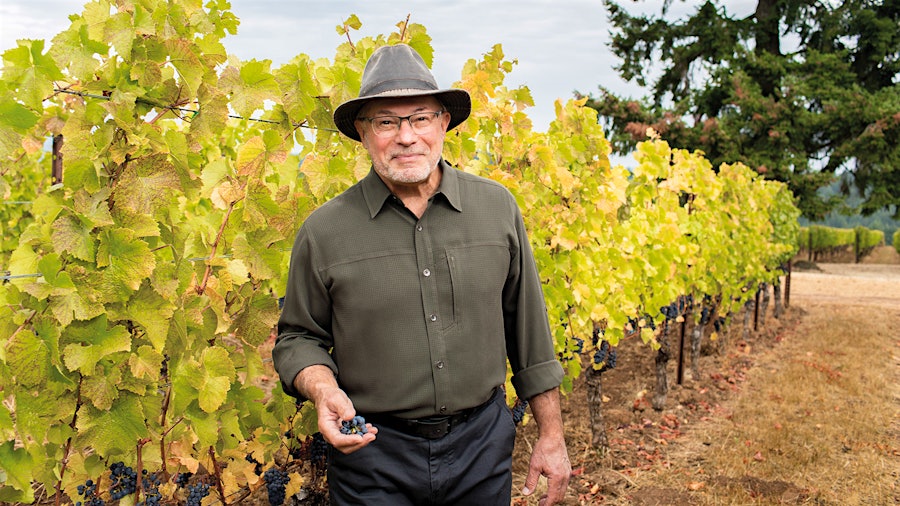 Soter’s Mineral Springs Vineyard in Oregon's Yamhill-Carlton AVA is planted to Burgundian varieties Pinot Noir and Chardonnay.