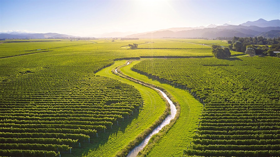 The Marlborough vineyards of pioneering producer Cloudy Bay