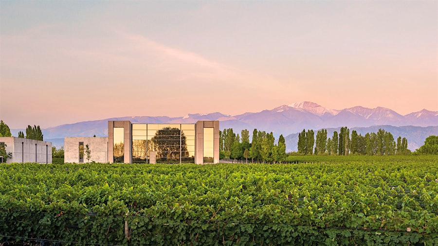 Viña Cobos’ state-of-the-art facility in Luján de Cuyo lies at the base of the Andes mountains amid the winery’s estate vineyards.