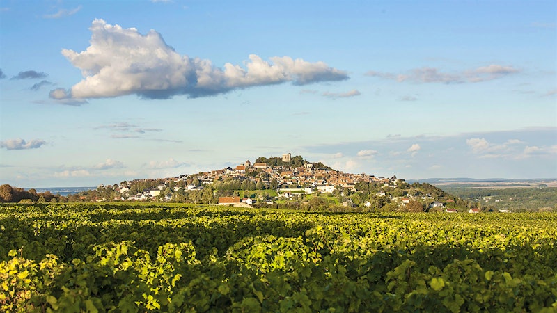 Why Americans Love Sancerre