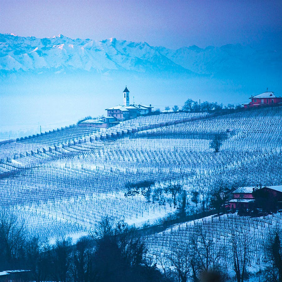 The winter snow blanketing G.D. Vajra's top-rated Bricco delle Viole <i>cru</i> in Barolo was a harbinger of the cooler weather across Piedmont in the 2018 vintage.