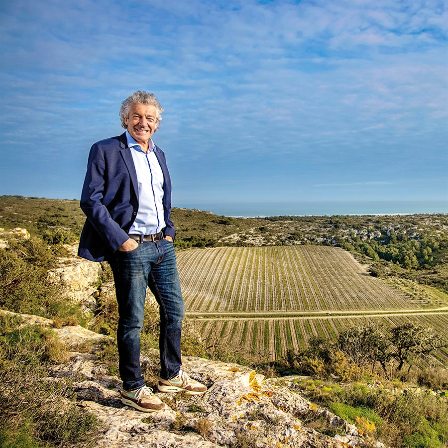 Bertrand above vineyards at the 2,500-acre Château l'Hospitalet overlooking the Mediterranean, also home to a luxury resort and his company headquarters.