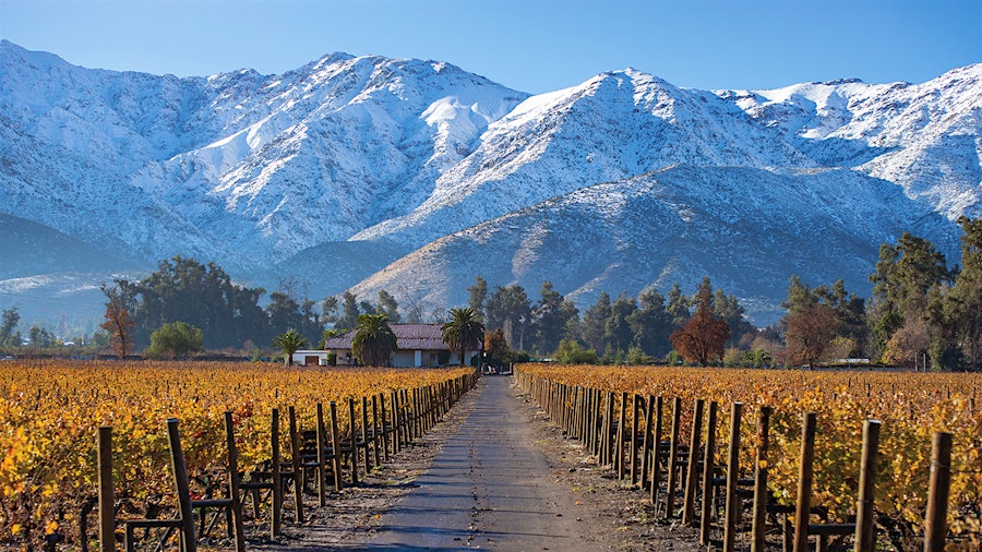 At the foot of the Andes mountains, Viña Quebrada de Macul produces two fantastic Cabernet Sauvignons featured in this report.