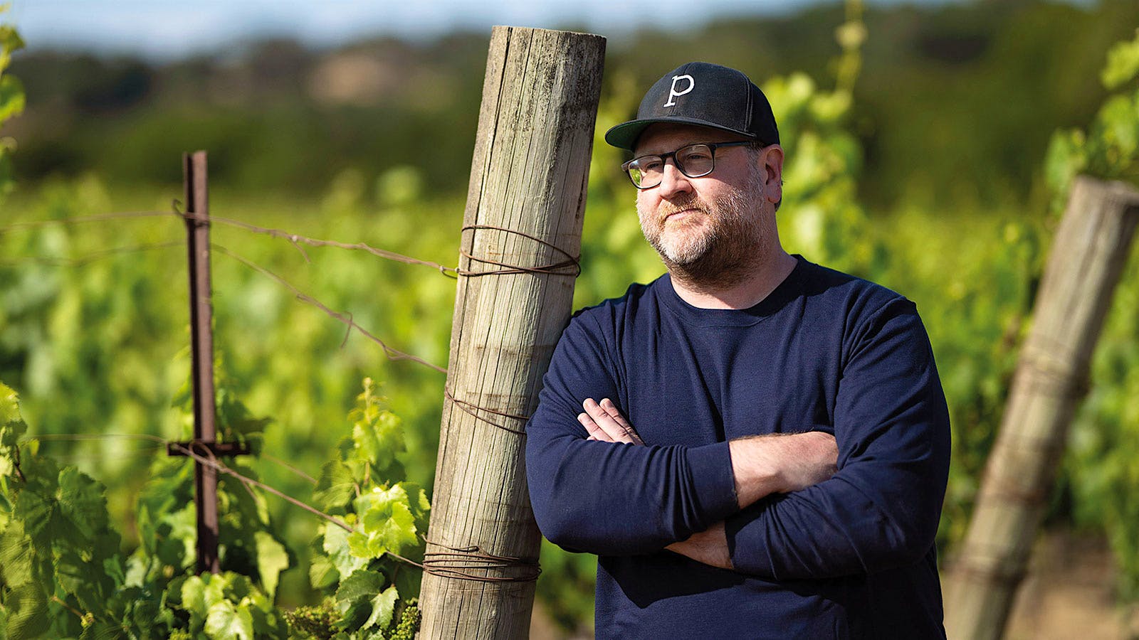 Dan Petroski of Massican winery in one of the estate's vineyards