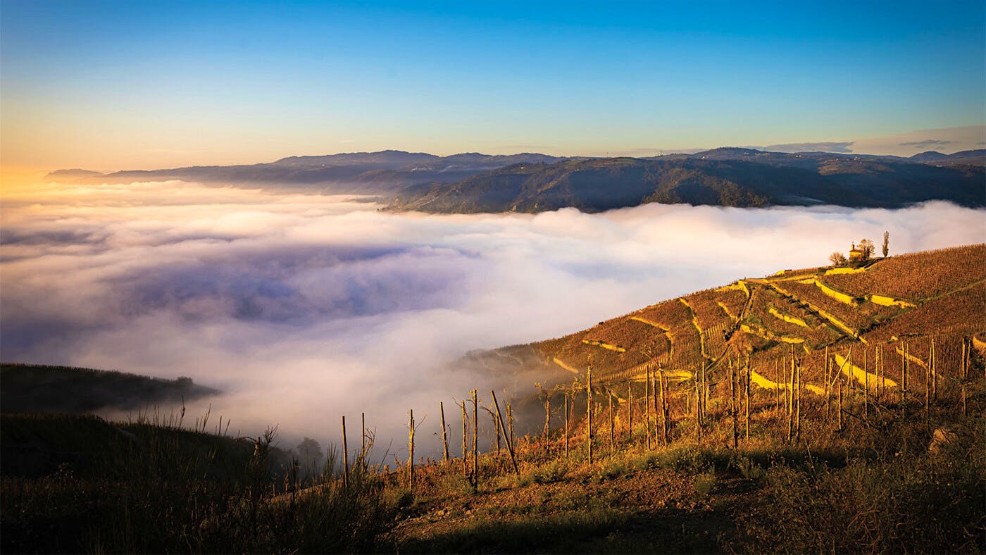 Paul Jaboulet Aîné's vineyards in the Hermitage region of the Rhône Valley, France