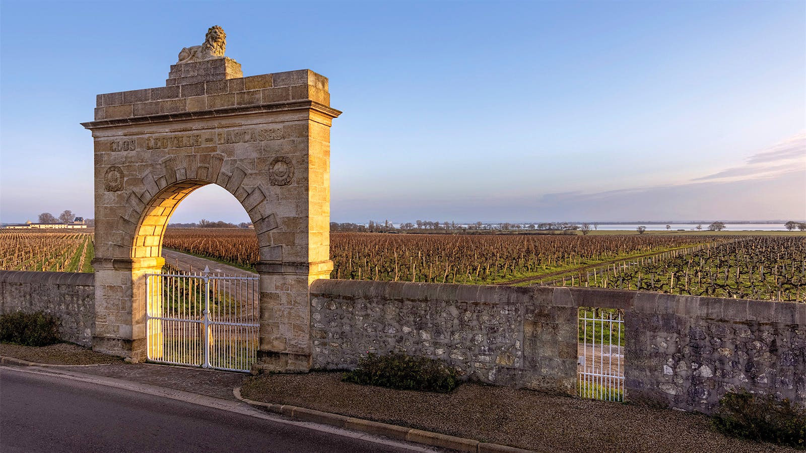 The vineyards of Château Léoville Las Cases in St.-Julien, Bordeaux, France