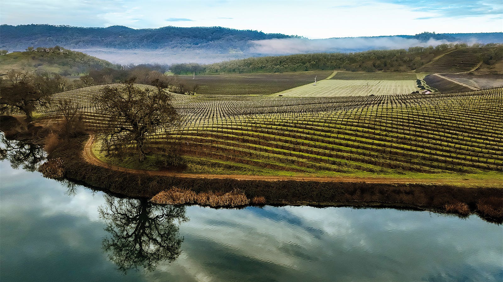 St. Supéry’s Dollarhide Estate Vineyard in Napa Valley, California