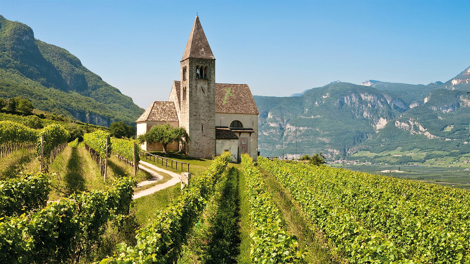 J. Hofstätter vineyards and winery in Alto Adige