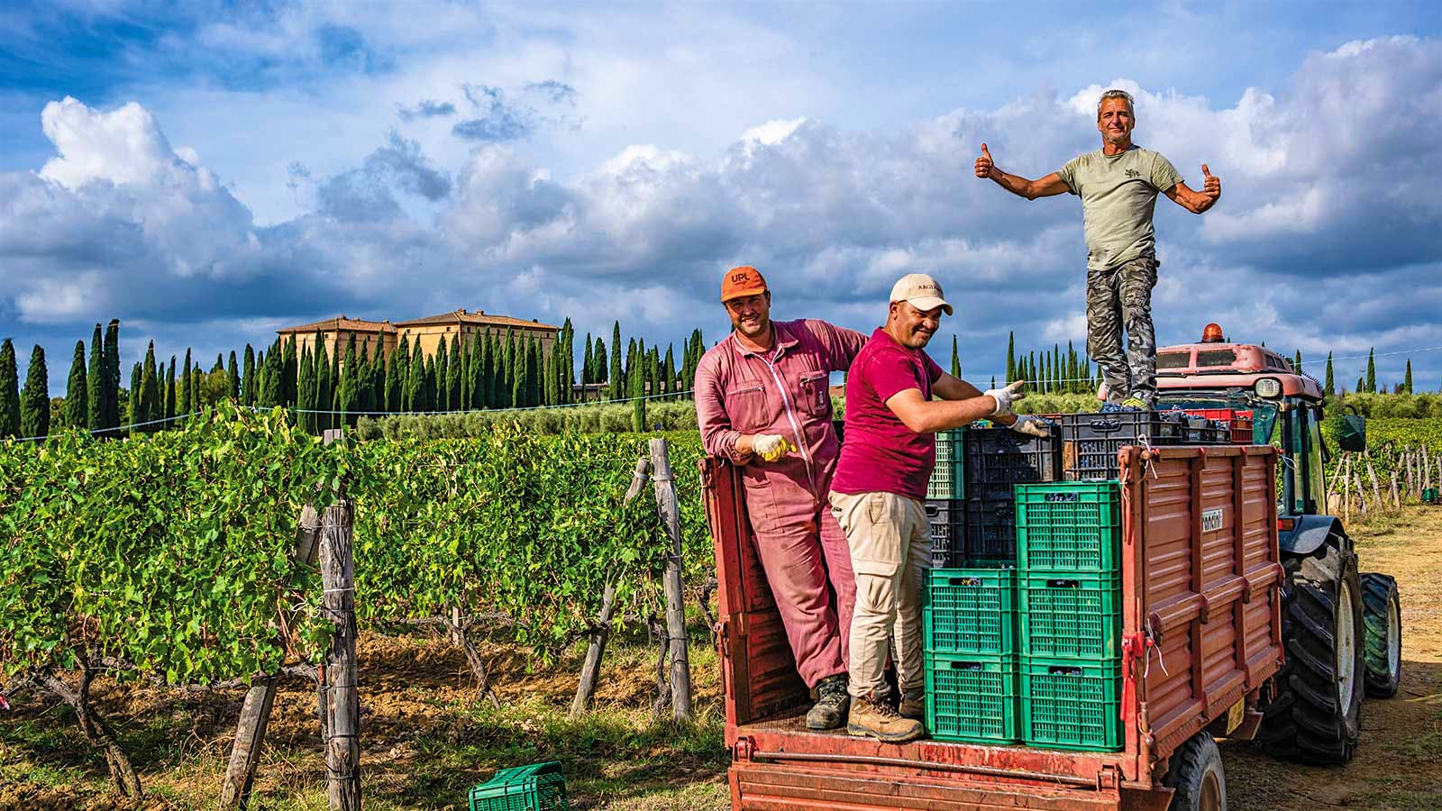 Argiano winery workers pose in the vineyard during harvest season