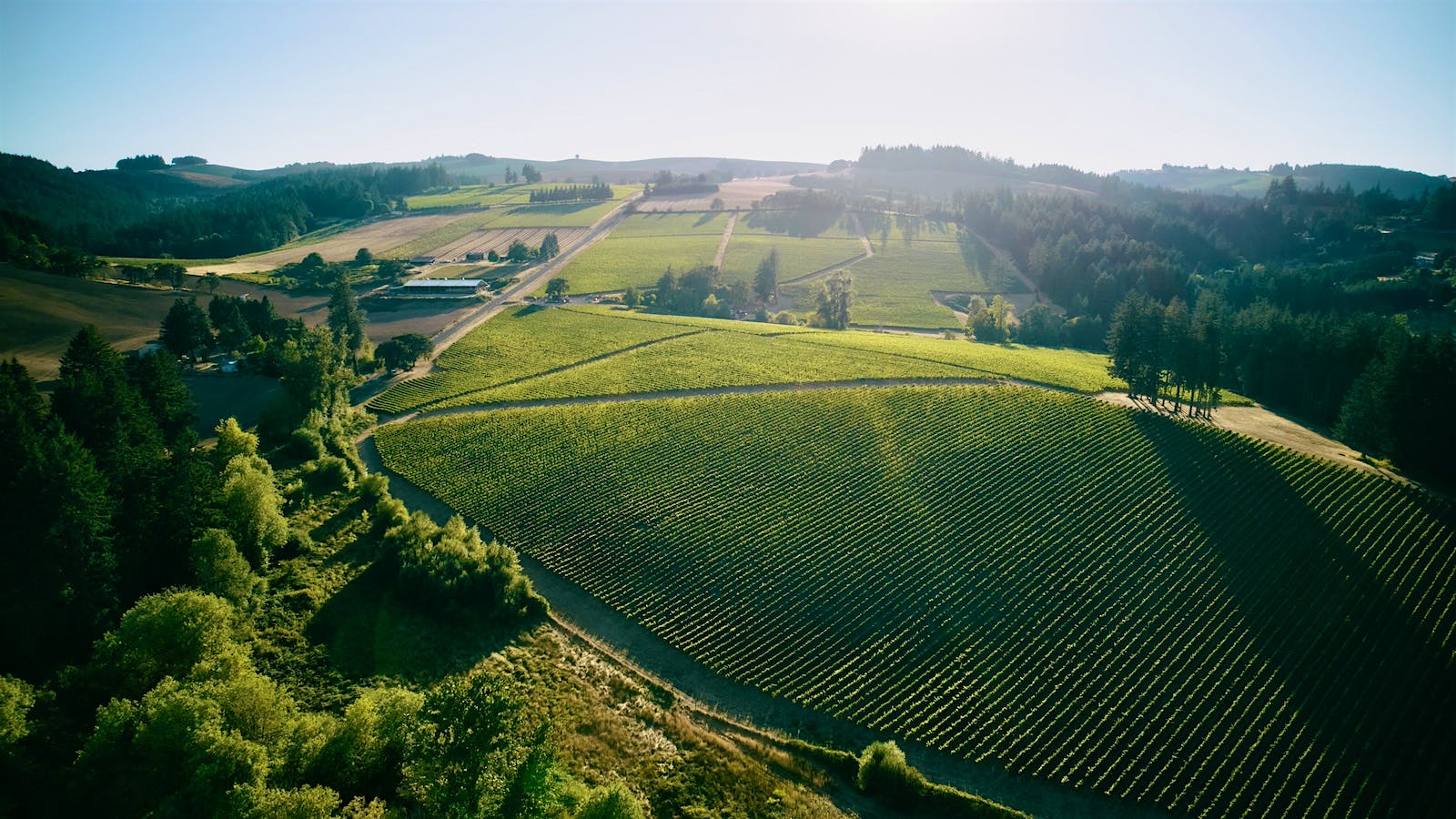 An aerial view of one of Lingua Franca winery’s estates in Oregon