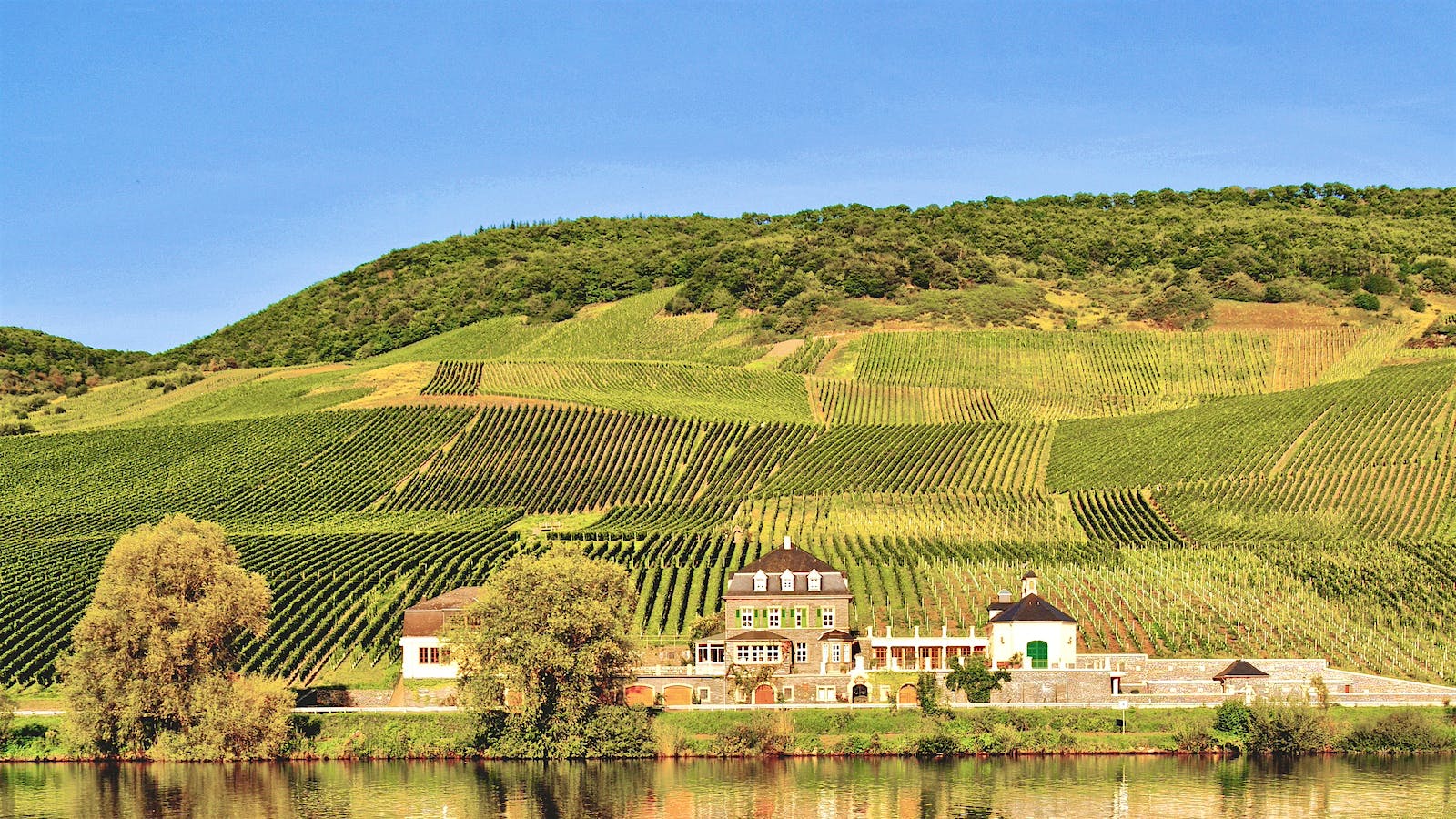 Dr. Loosen Winery's estate and vineyards in the Mosel Valley, Germany