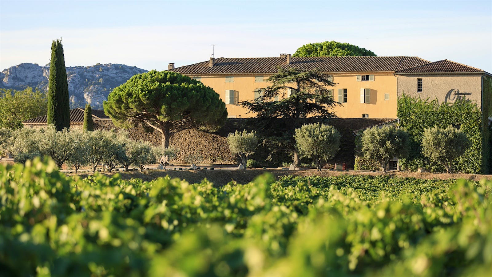 Château Romassan of Domaine Ott, in Bandol, France