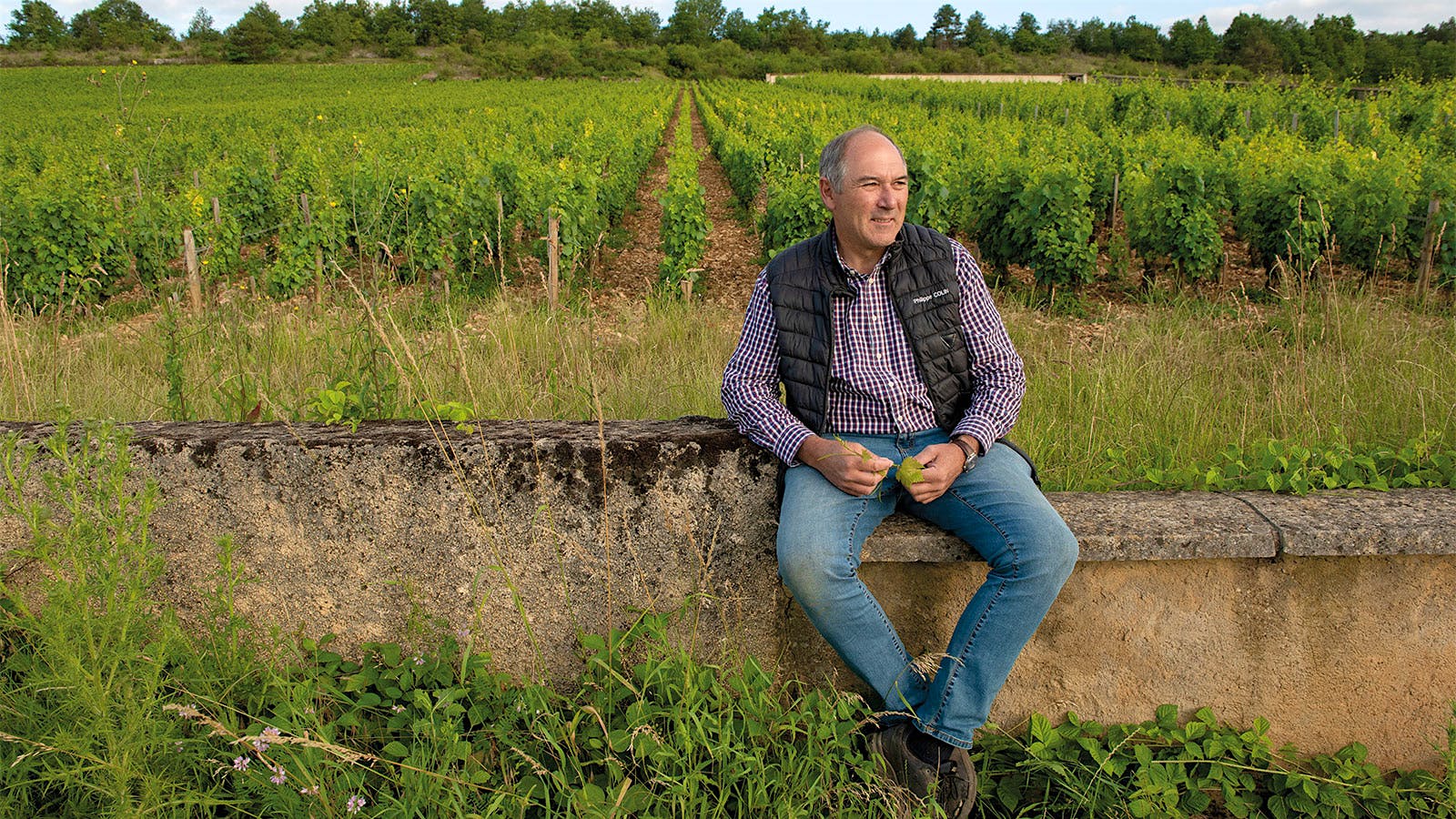 Philippe Colin at his Chevalier-Montrachet vineyard in Burgundy, France