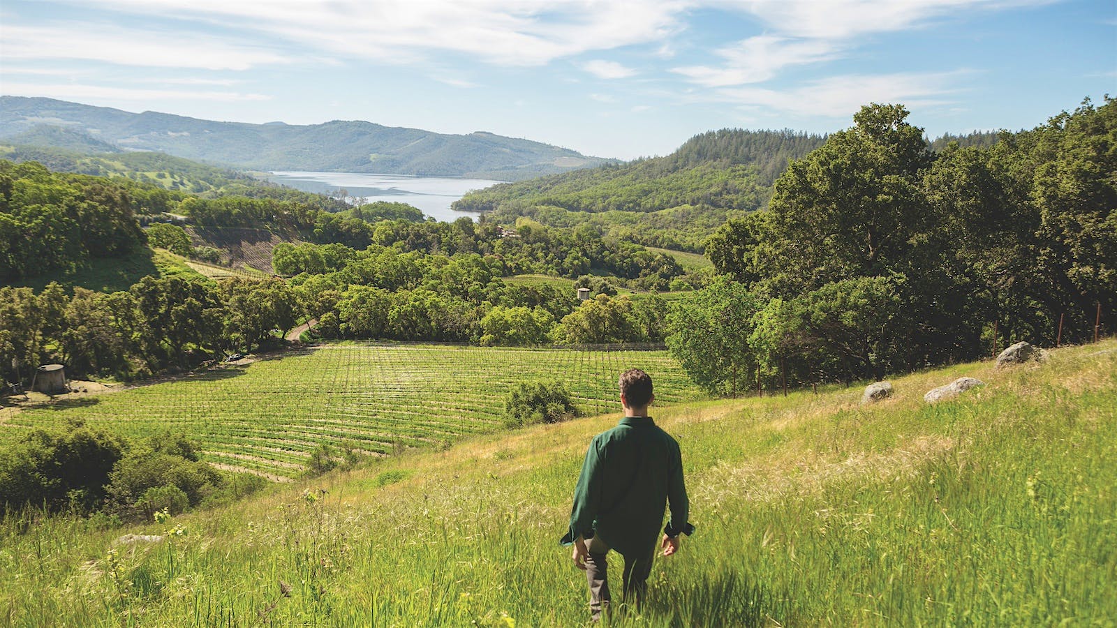 Jim Duane looks out over Seavey's vineyard and Lake Hennessey behind it on the estate in Napa Valley, California