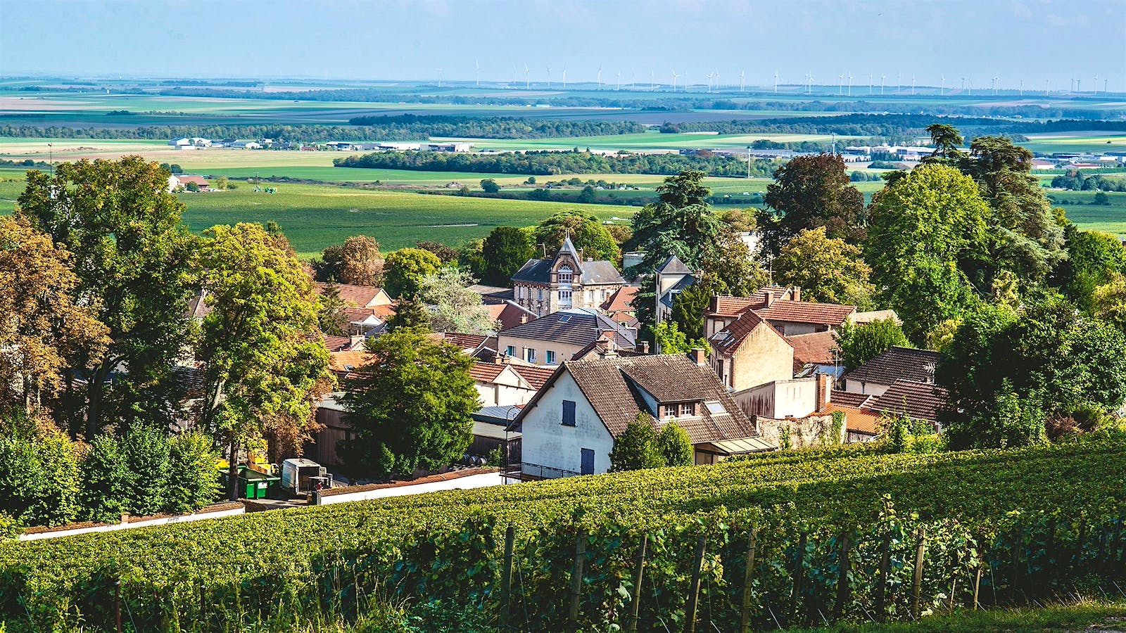 The town of Avize outside Épernay in Champagne