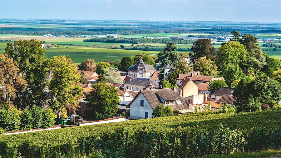 The town of Avize, outside of Épernay, overlooks many Champagne vineyards.