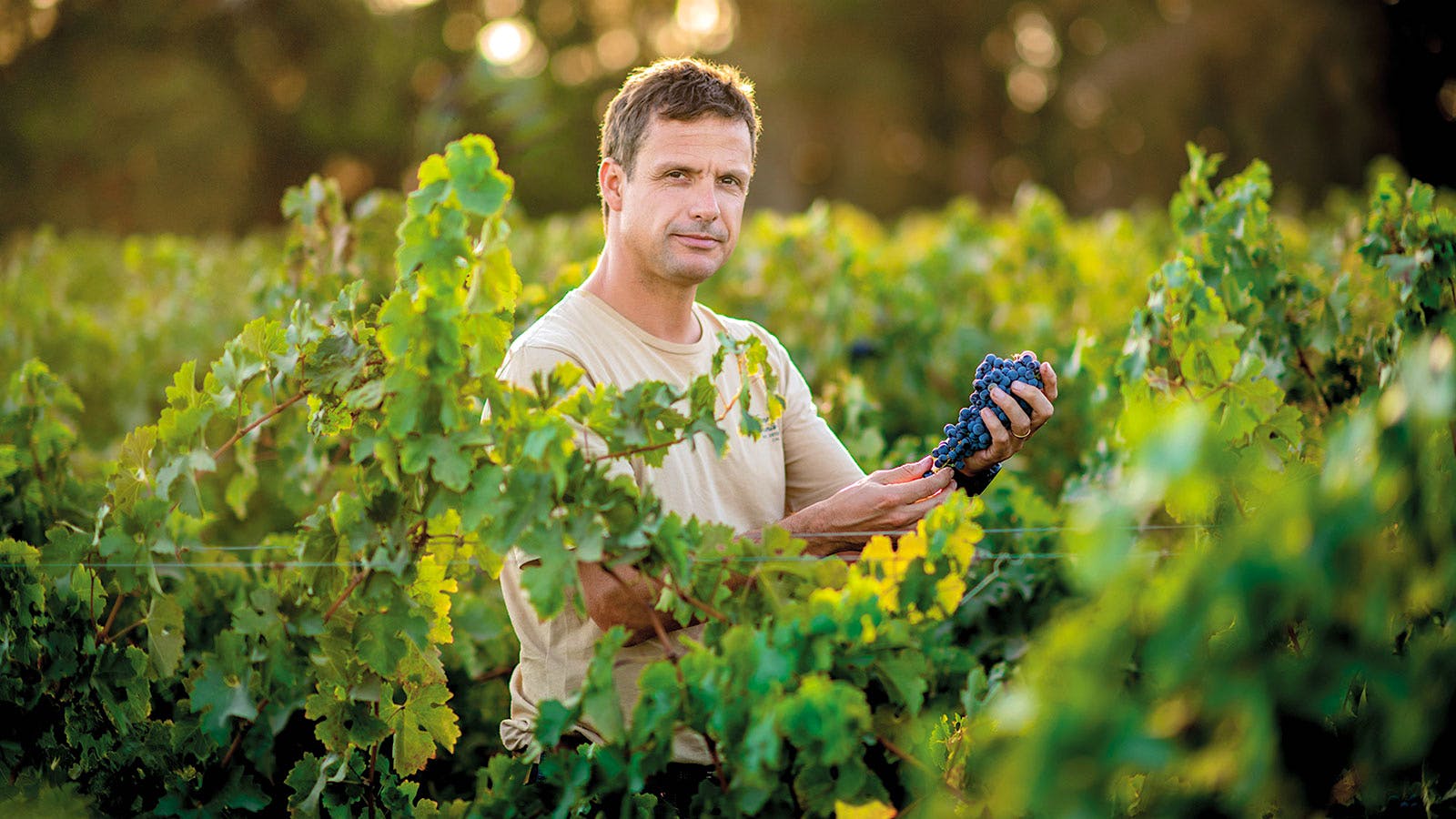 Aurelio Montes Jr. in a&nbsp;vineyard in Chile