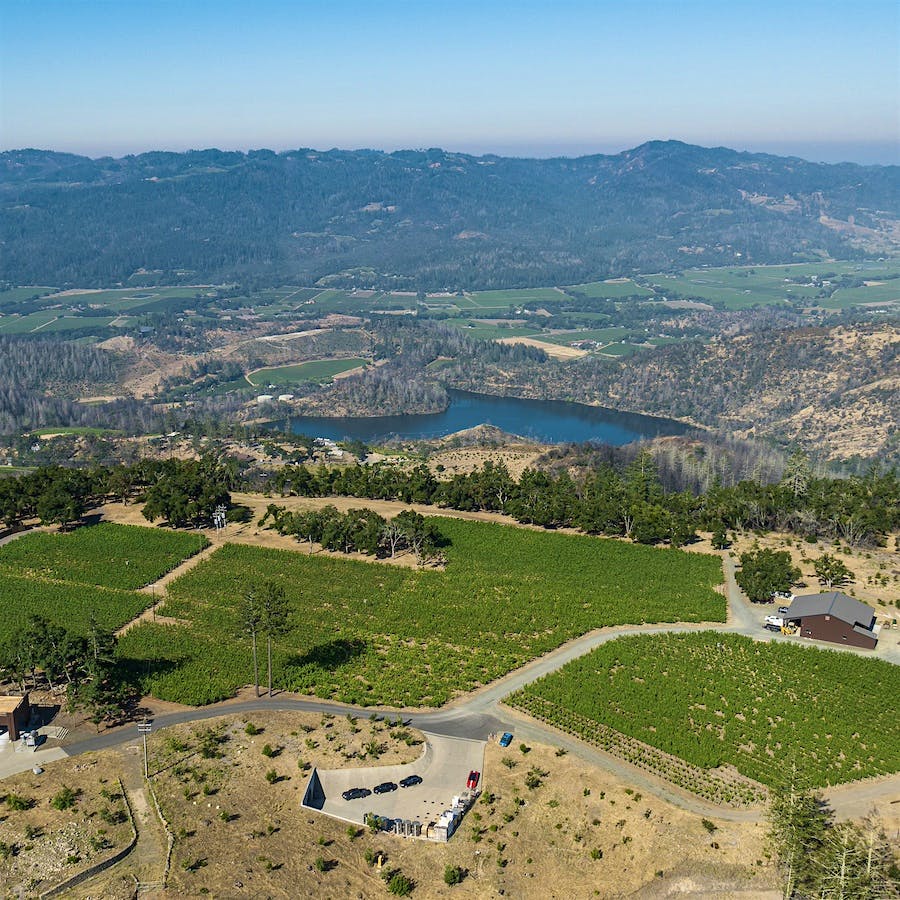 The Krausz family’s Arkenstone estate in Howell Mountain produced two 90+ point wines for this report.