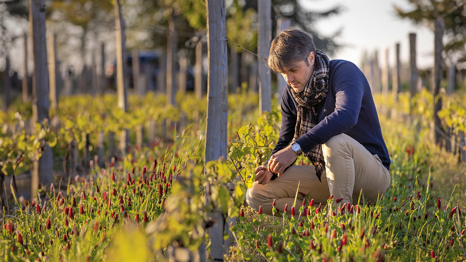 Pierre-Olivier Clouet in the vineyard at Château Cheval Blanc on Bordeaux’s Right Bank