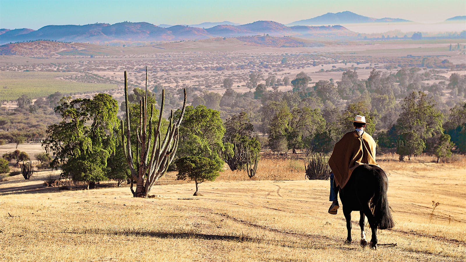 A worker rides a horse in a Viña Los Vascos vineyard in Colchagua Valley, Chile.