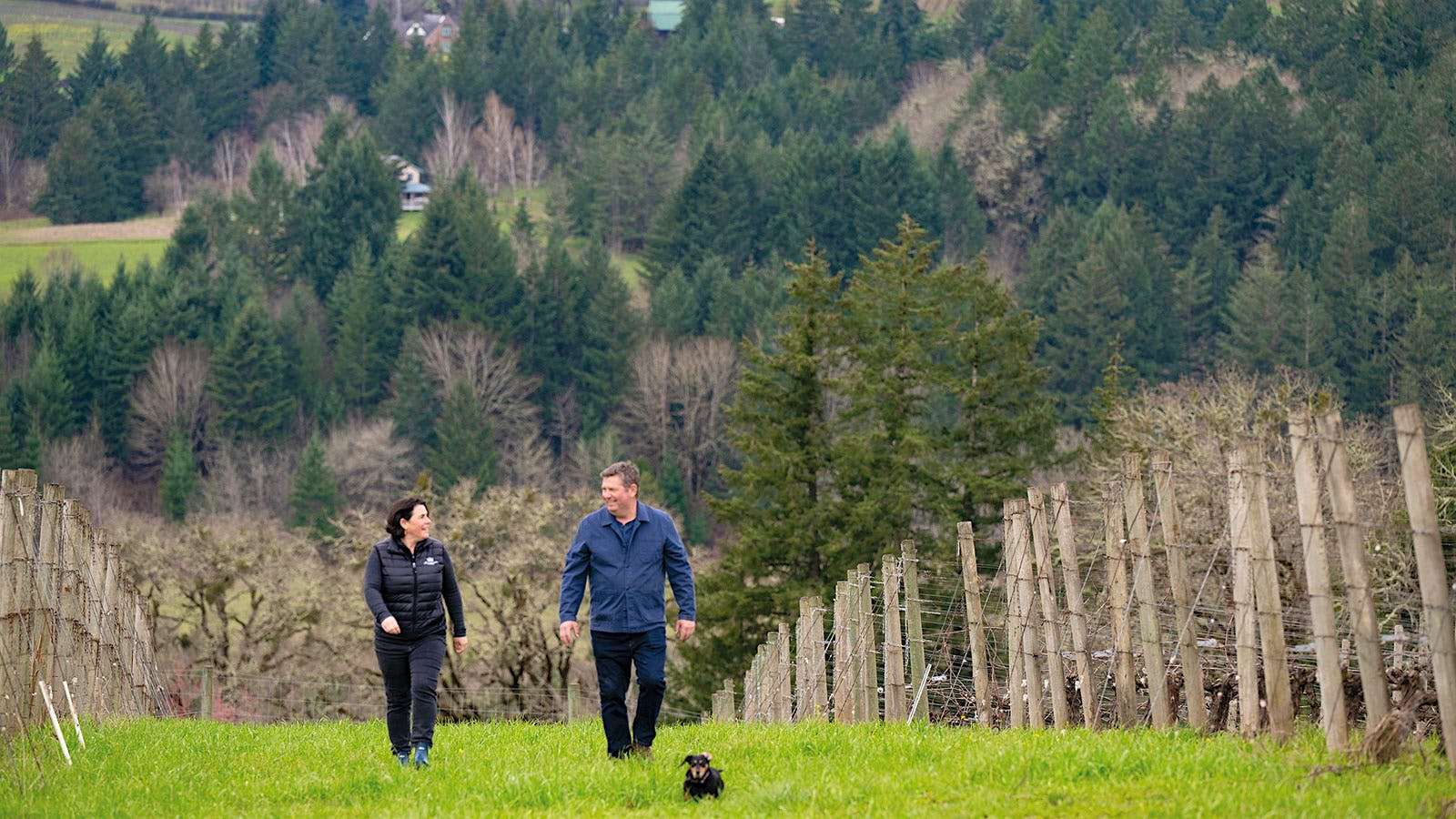 Caroline and Josh Bergström walk through the vineyards at Bergström Wines in Willamette Valley, Oregon