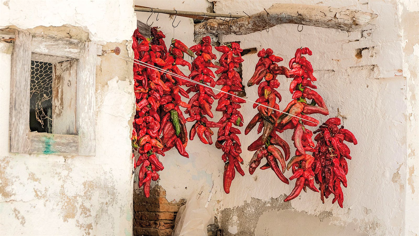 Strings of peppers hang out to dry in Matera, Basilicata.