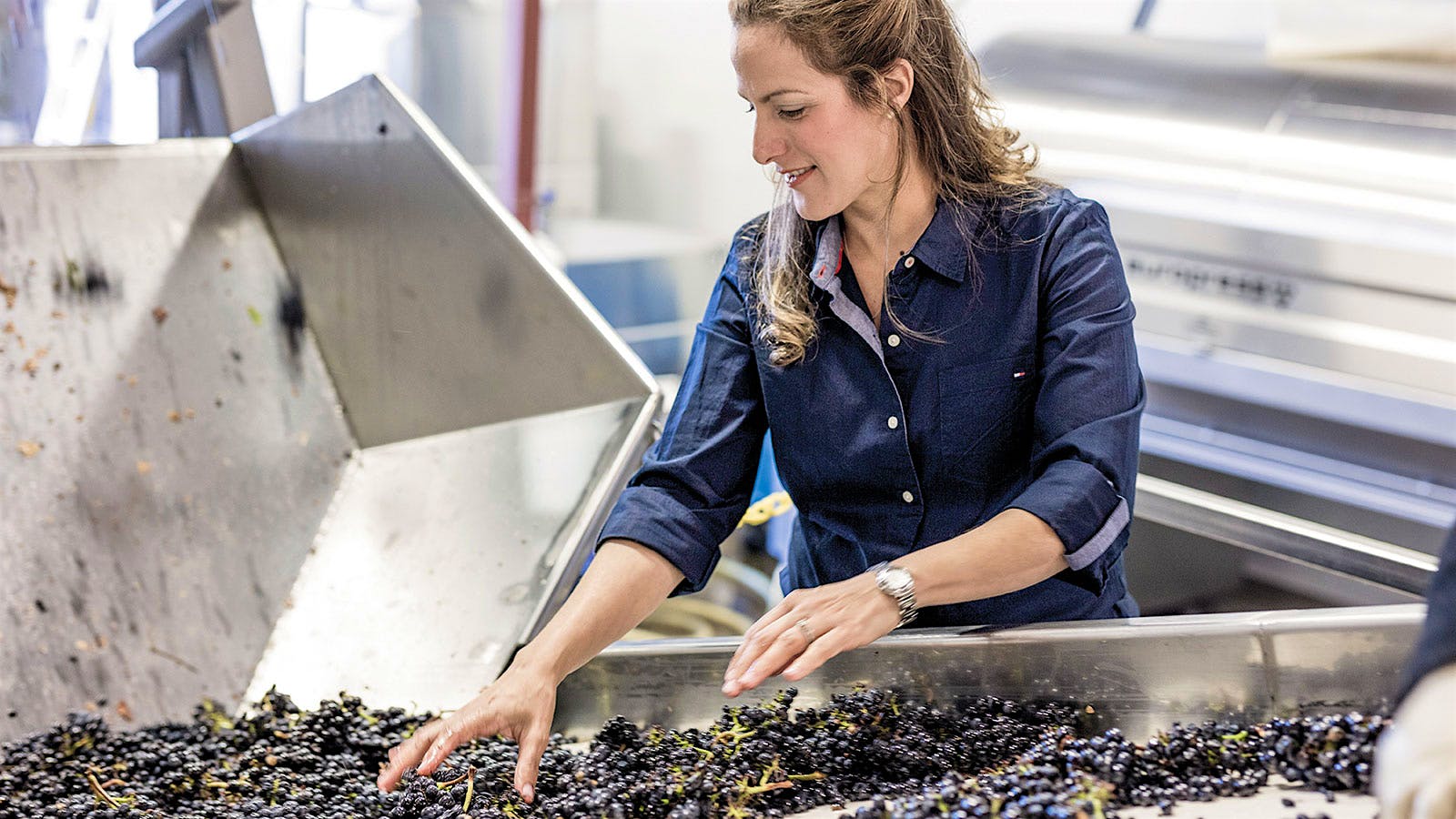 Bibiana Gonz&aacute;lez Rave sorts grapes at Cattleya winery in Sonoma, California.] 