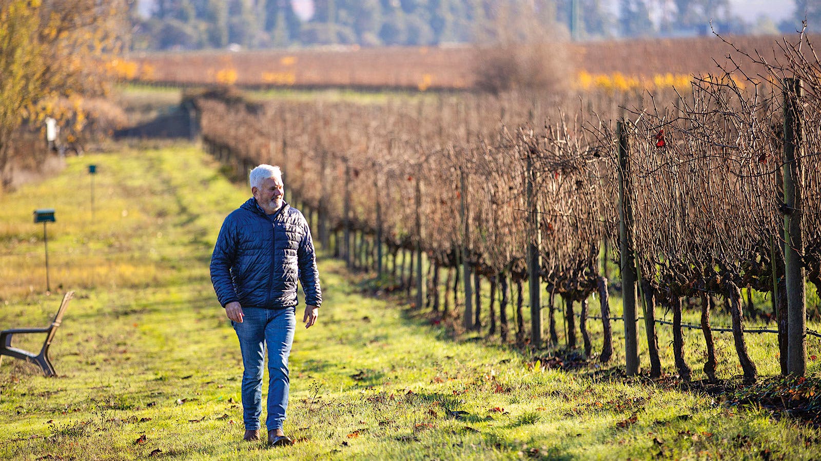 Jon Priest walks through Etude&rsquo;s Pinot Noir vineyards in Carneros, California.] 