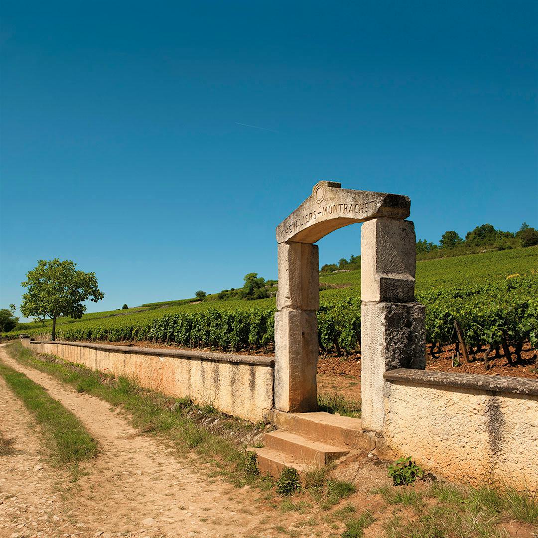 Among a dozen 2022s scoring classic, Domaine Leflaive’s luscious yet vibrant Chevalier-Montrachet led the group.