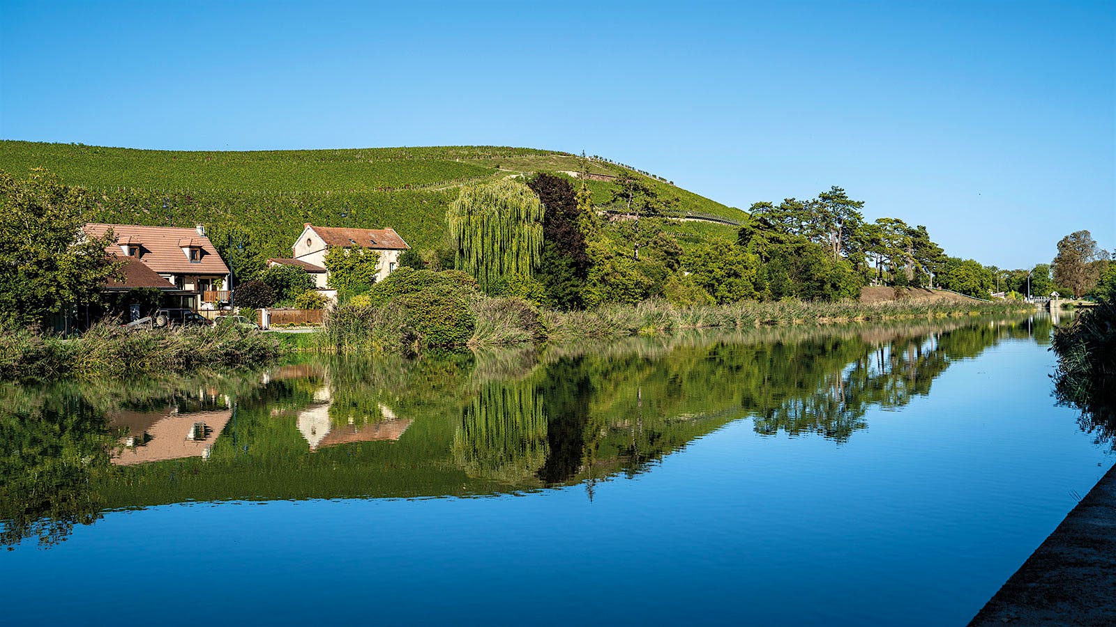 Champagne’s Allure