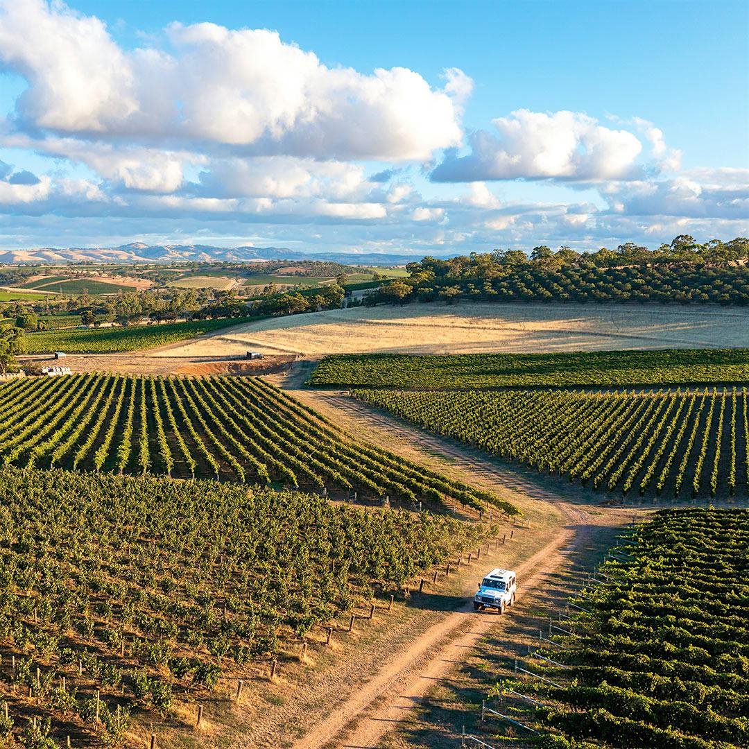 The meticulously farmed estate vineyards of Two Hands in the heart  of the Barossa Valley are planted to specific blocks based on grape clone and microclimate, yielding highly rated reds from Shiraz, Grenache, Mourvèdre and Cabernet Sauvignon.