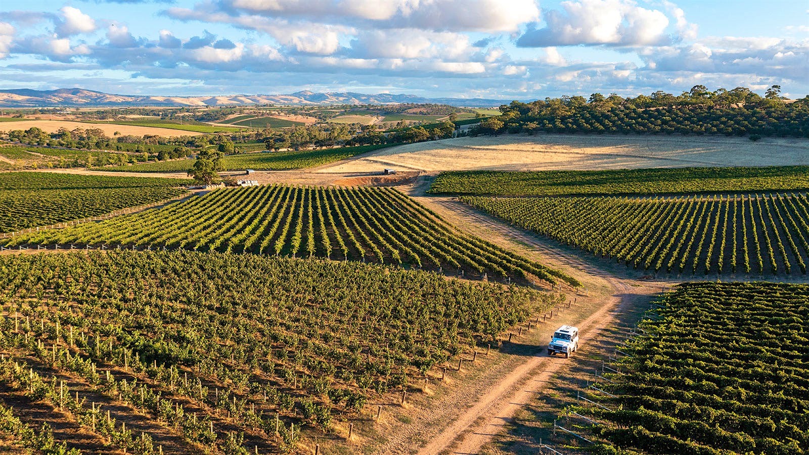 The meticulously farmed estate vineyards of Two Hands in the heart  of the Barossa Valley are planted to specific blocks based on grape clone and microclimate, yielding highly rated reds from Shiraz, Grenache, Mourvèdre and Cabernet Sauvignon.