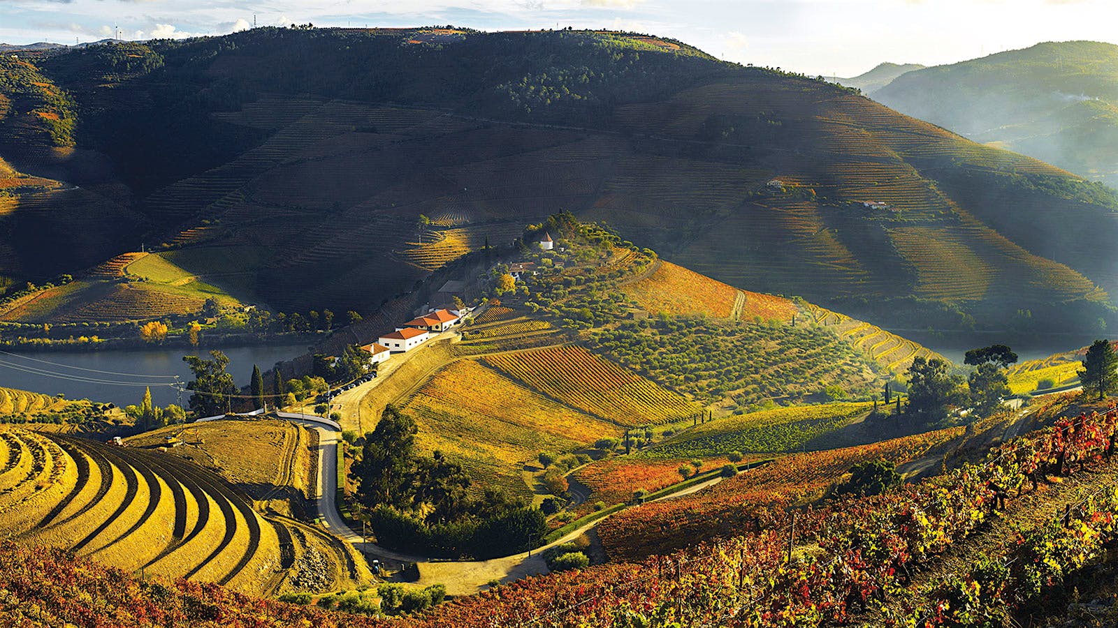 Quinta do Crasto produced one of this report’s top-scoring tawny Ports, its Tawny Port 50 Year Old NV.