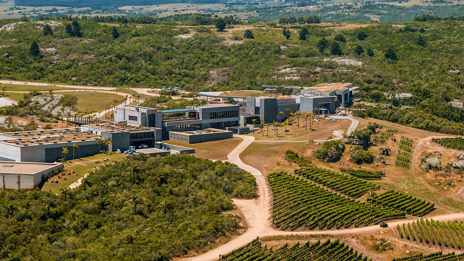 Aerial view of Bodega Garz&oacute;n estate buildings and vineyards in Maldonado, Uruguay