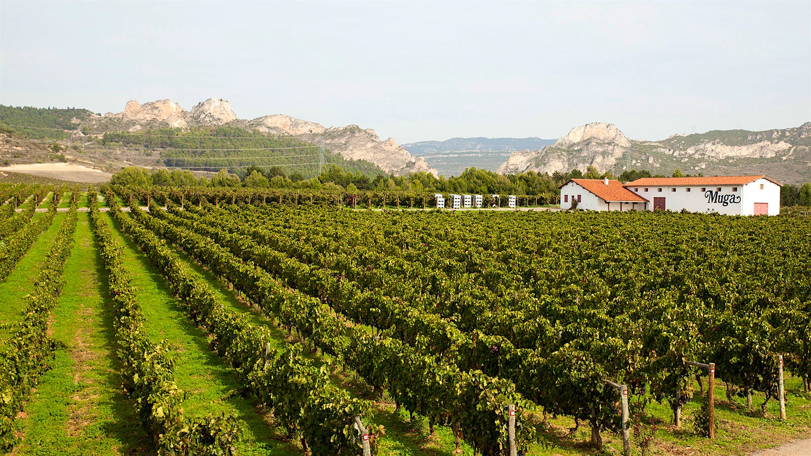 Bodegas Muga farms its 1,050 acres of estate-owned vineyards in Rioja using sustainable practices.