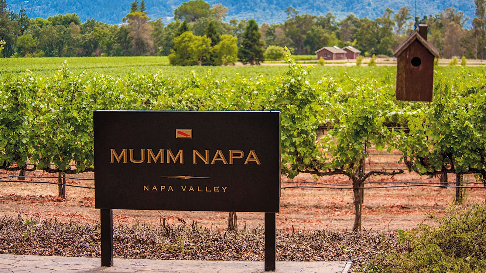 Trinchero to Acquire Mumm Napa from Pernod Ricard