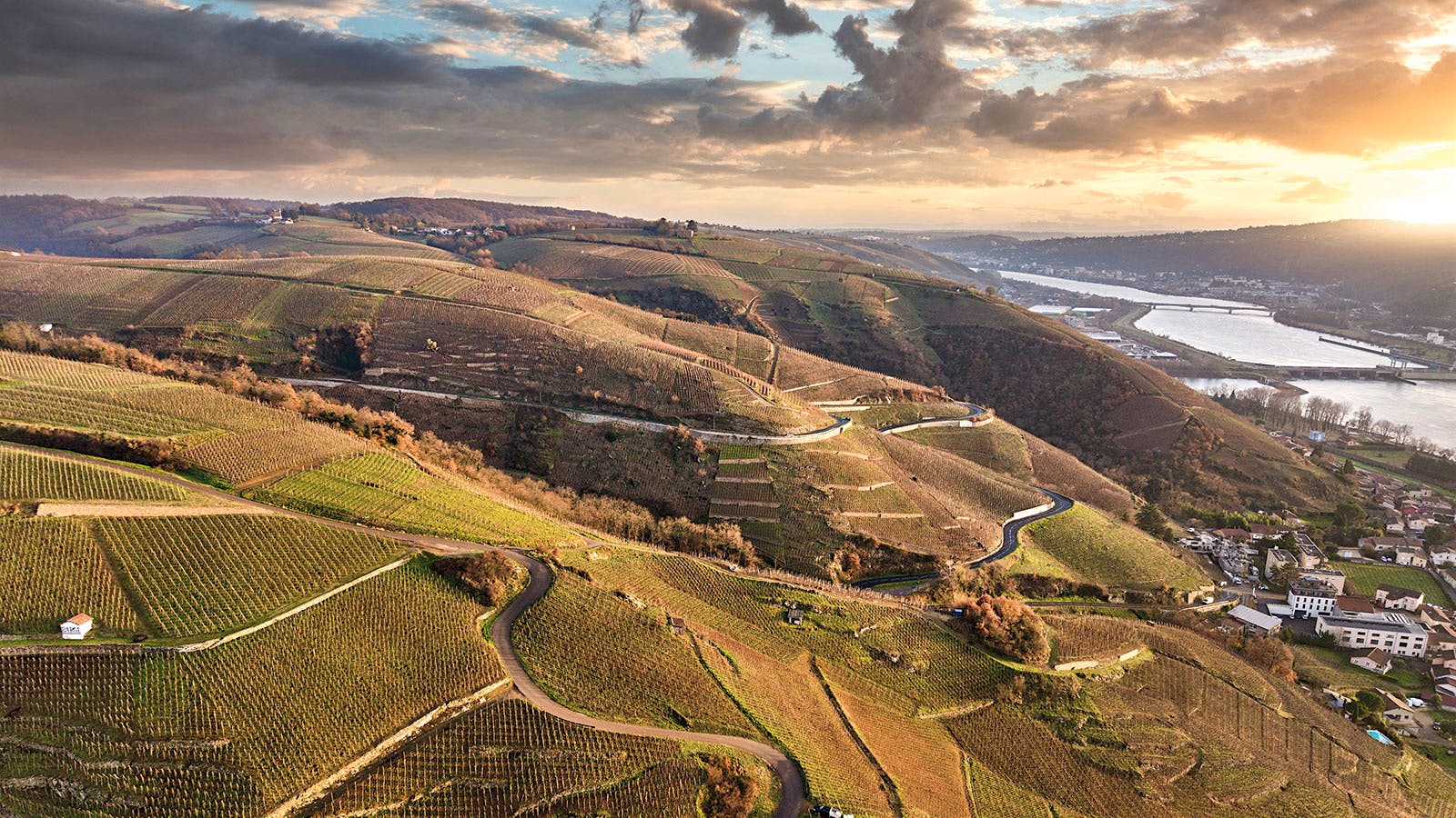 The vineyards of the Northern Rhône’s famed Côte-Rôtie appellation delivered a range of impressive reds from the outstanding 2023 vintage, including some of this report’s top-rated wines.