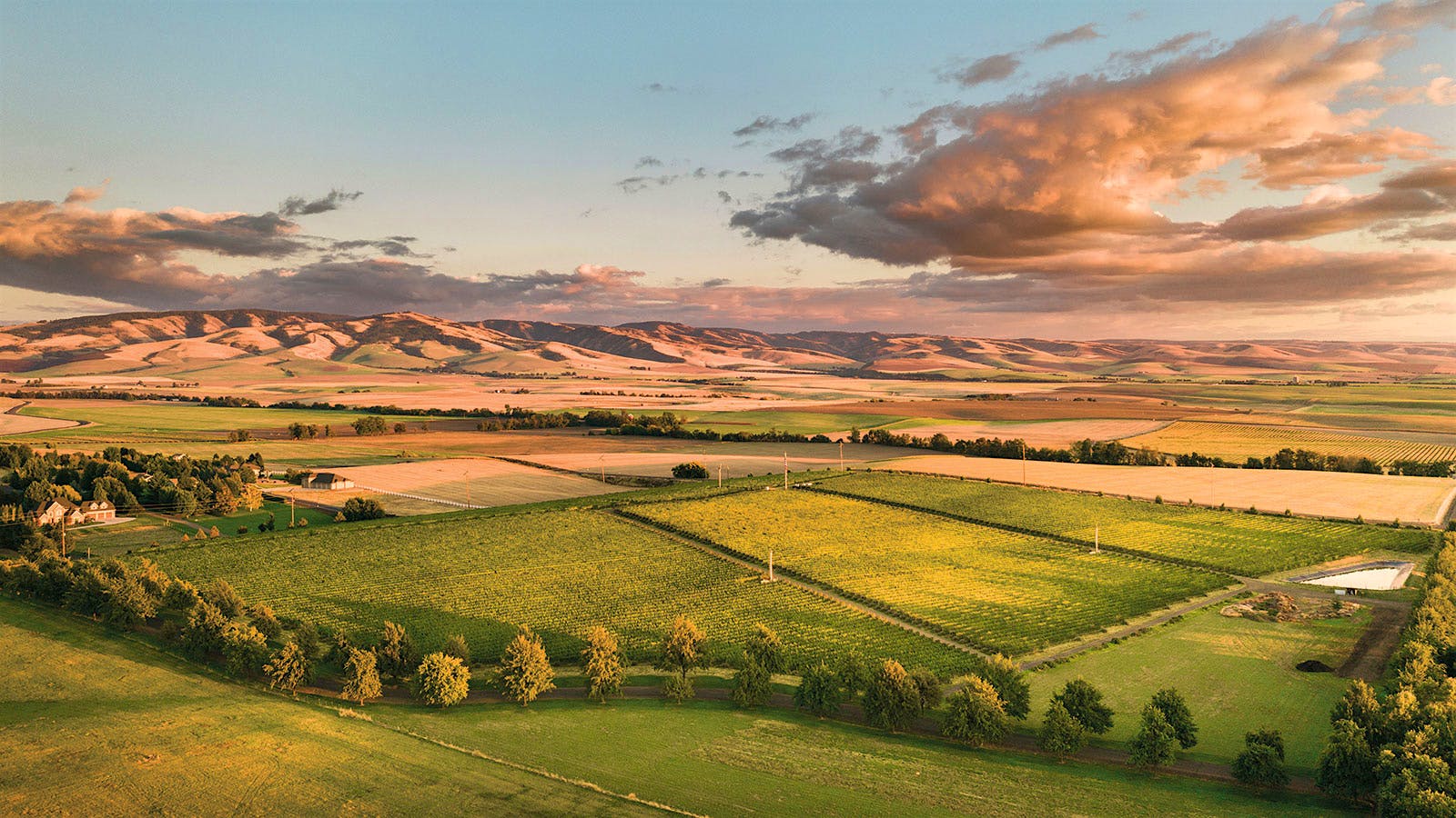 Leonetti Cellars’ Walla Walla Valley vineyards yielded outstanding bottlings from both the 2022 and 2023 vintages.