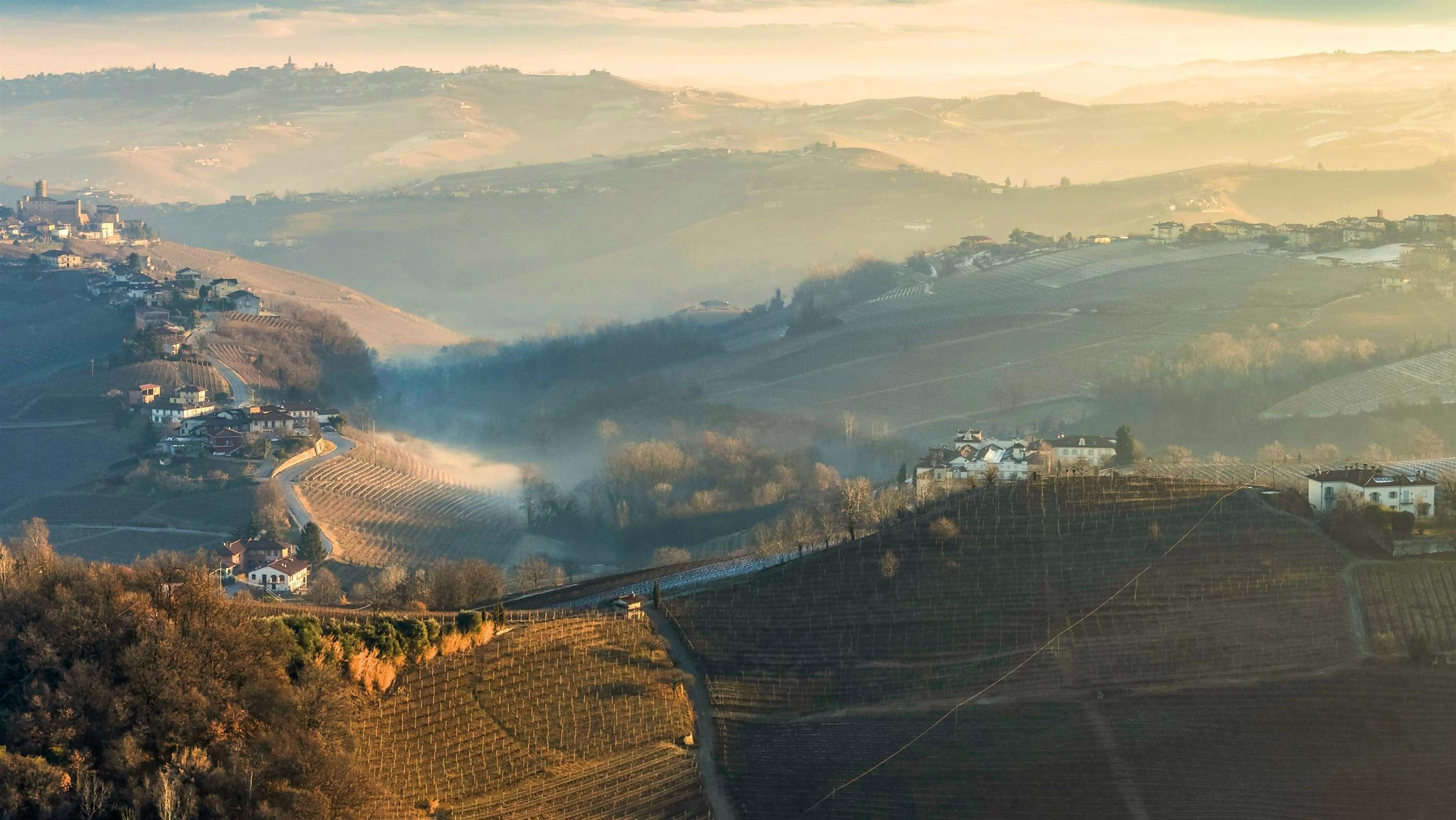 Long considered one of Barolo’s leading <em>crus</em>, Aldo Conterno’s Romirasco vineyard excelled in the classic-scoring 2021 vintage, yielding this report’s top wine as well as the estate’s highest-rated bottling ever.