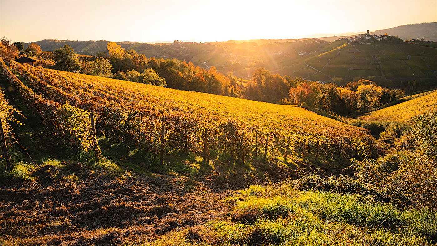 Luigi Baudana’s 2021 Barolos from his estate vineyards in Serralunga d’Alba all received some of this report’s most impressive scores.