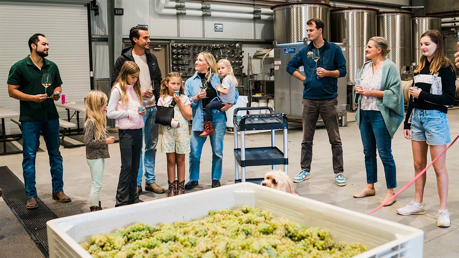 Crafting Hensel West’s high-scoring 2024 Sauvignon Blanc from their Riverbound vineyard in Napa was a team effort between winemaker Ashley Hepworth and vintners Will Phelps and Amanda Phelps.