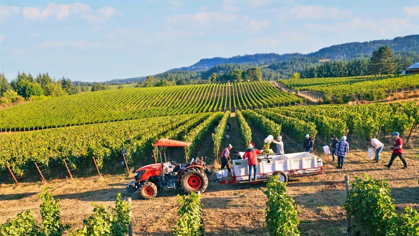 Bergström’s Willamette Valley vineyards yielded an outstanding lineup of wines in the 2023 vintage, with six highly rated Pinot Noirs.