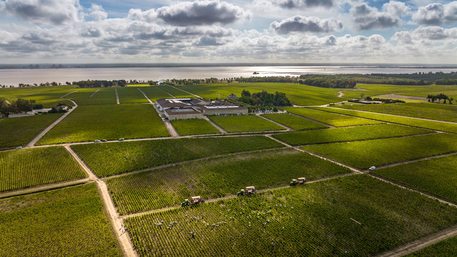Château Montrose produced one of the top-scoring Cabernet Sauvignon blends from St.-Estèphe tasted in this report.