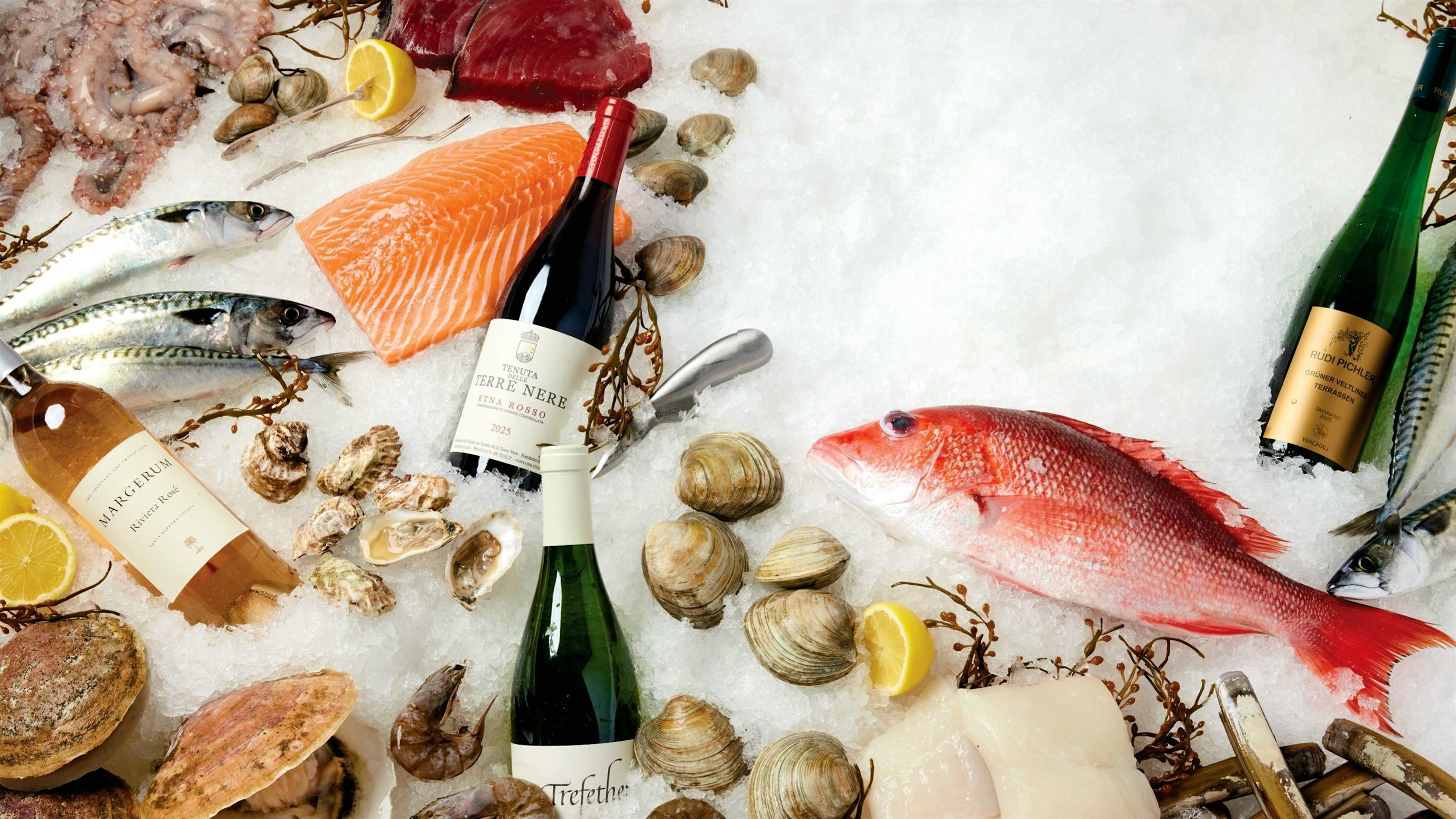 From ceviches to grilled snapper, top chefs share their tips for cooking seafood and pairing with wine.