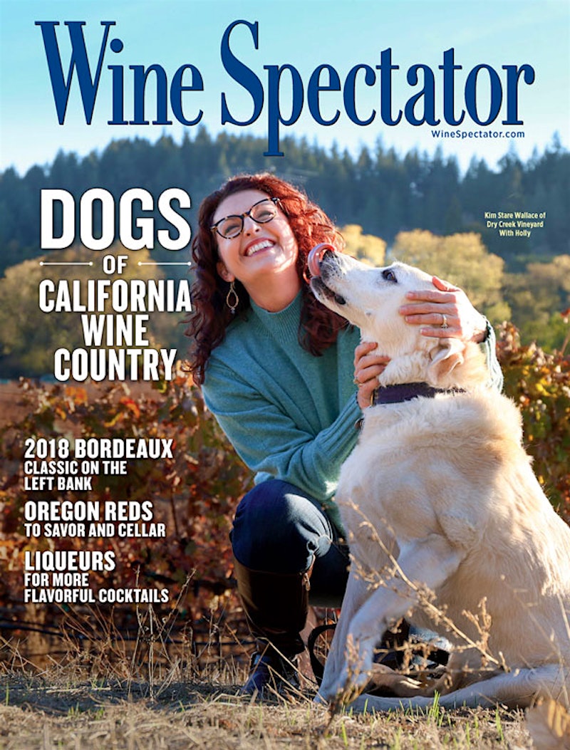 Dogs of California Wine Country